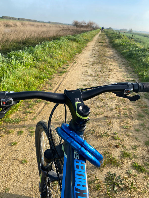 Clãmarinhais de bicicleta